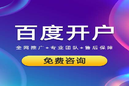 SEM托管成功案例：揭秘高效广告投放策略